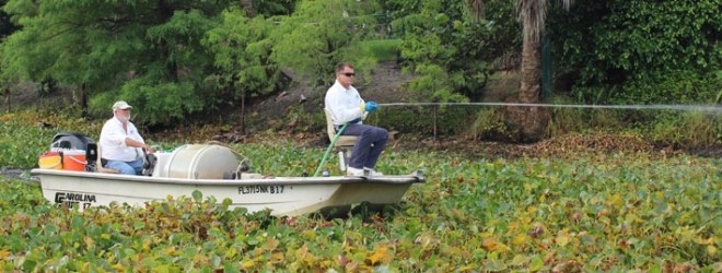 Managing invasive aquatic plants within the Lake Worth Drainage District, using environmentally safe herbicide spraying.