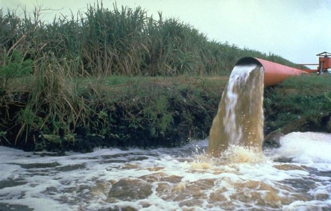 Pollution from spraying tainted water over fields of sugar cane pouring out of a excess water drain.